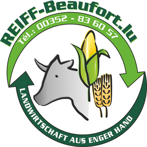 Reif Logo